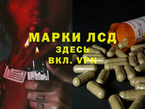 соль ск Чегем