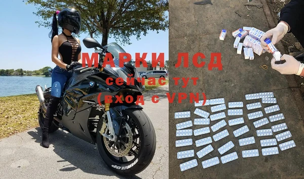 эйфоретик Новокубанск