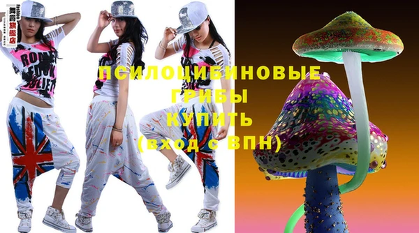 индика Белокуриха