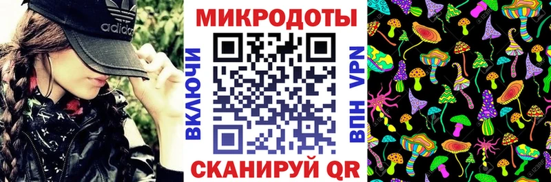 где купить наркотик  Мураши  Псилоцибиновые грибы Psilocybe 